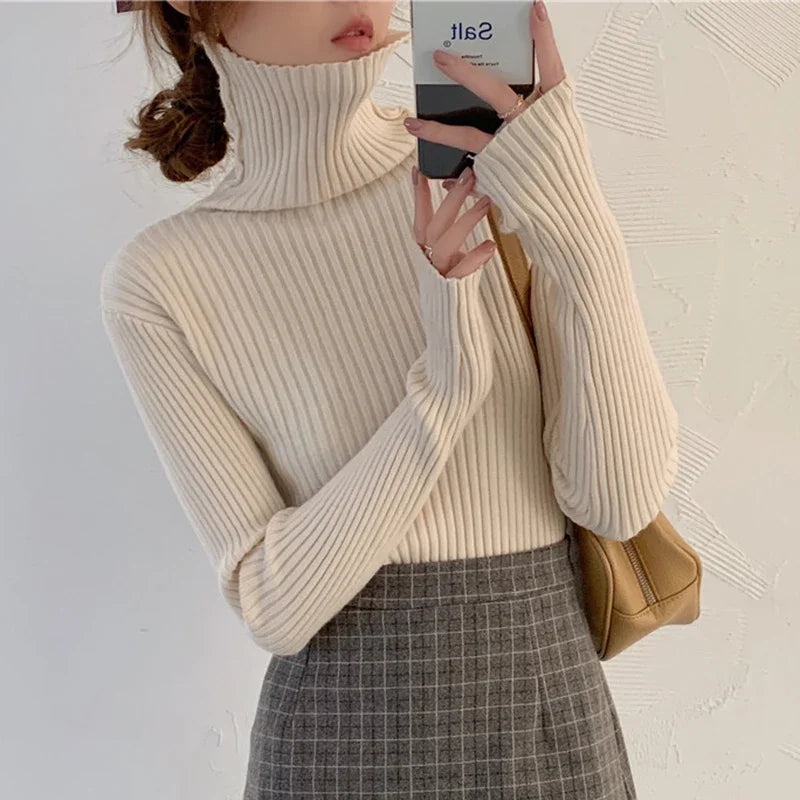 Manon | Pull col roulé brun